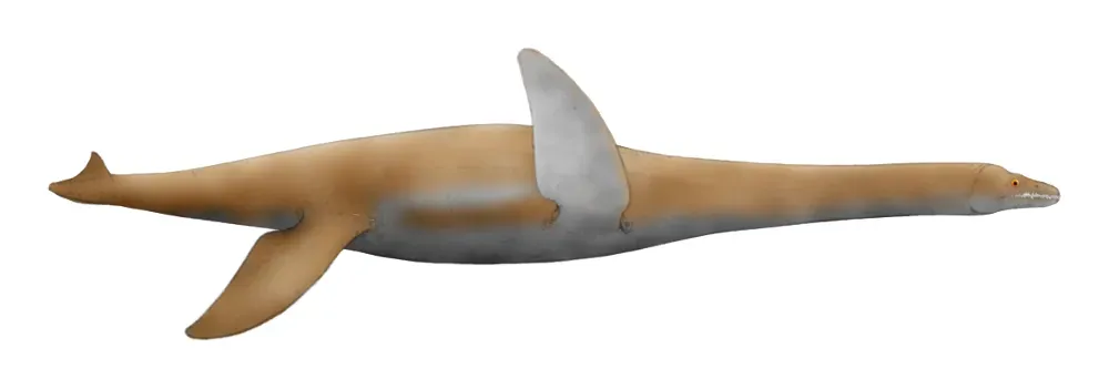 The Unseen Lives of Marine Reptiles: Ichthyosaurs, Plesiosaurs, and Mosasaurs