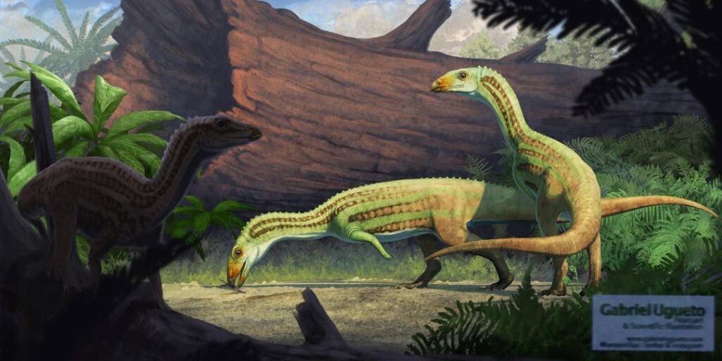 A Treasure Trove of Fossils at Kaye Quarry