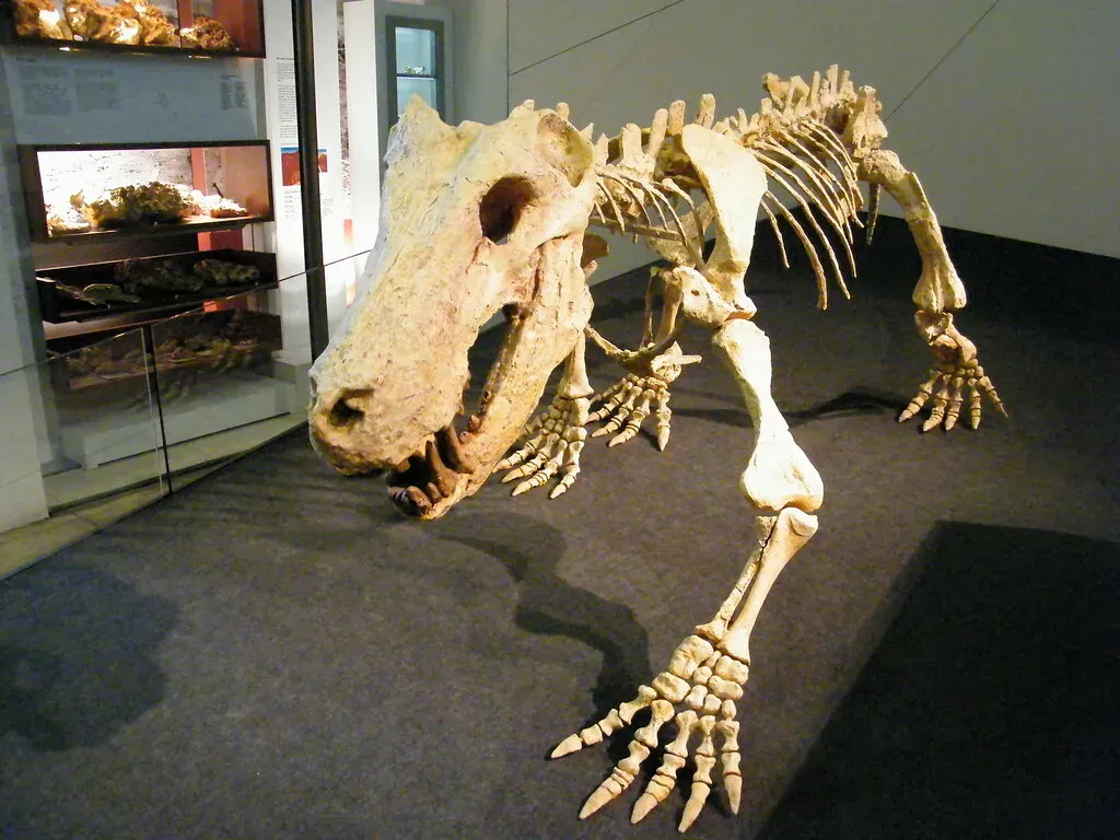 10 Fascinating Facts About the Extinct Creatures That Predated Dinosaurs