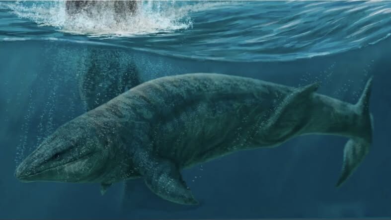 Apex Hunter of Ancient Oceans