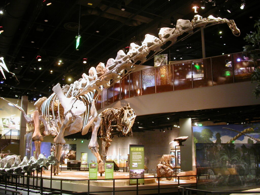 8. Alamosaurus: The Last Giant of Big Bend (Texas) 