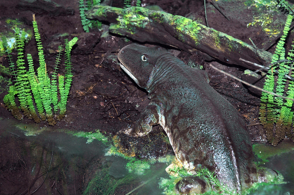 6. Eryops - The Terrifying Amphibian That Walked on Land and Water