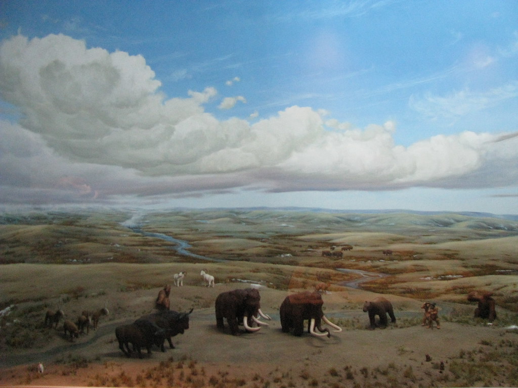 Animals Crossed First: The Great Biological Exchange