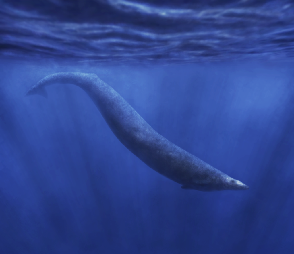 10. Basilosaurus: The Ancient Whale That Hunted Like a Sea Serpent