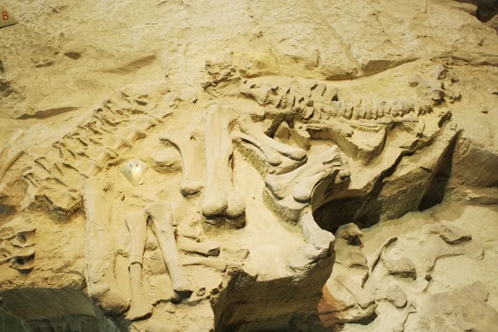 9 Underrated Dinosaur Discoveries That Deserve More Recognition