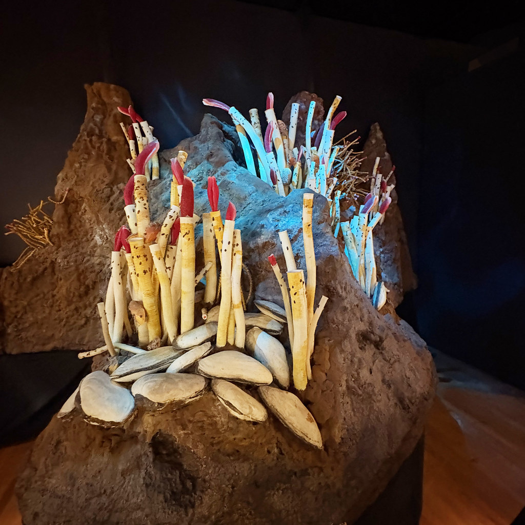 8. Deep-Sea Tubeworms Living on Toxic Vents: Life in the Boiling Dark 