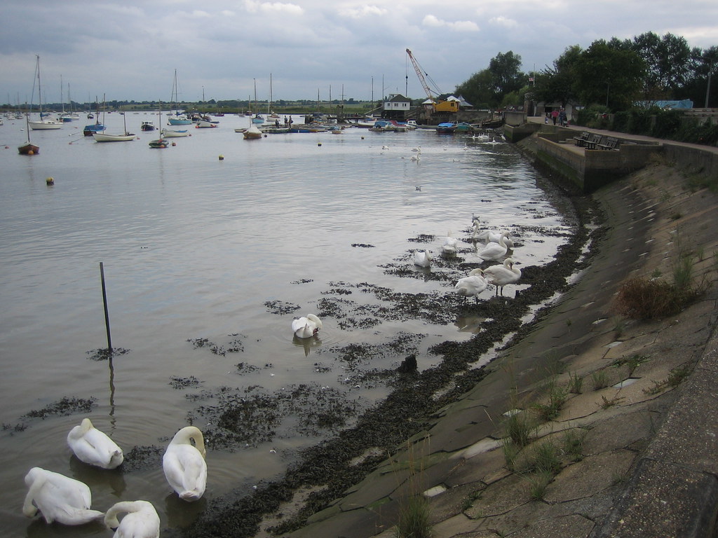 Riverside land to be maintained as a wildlife haven