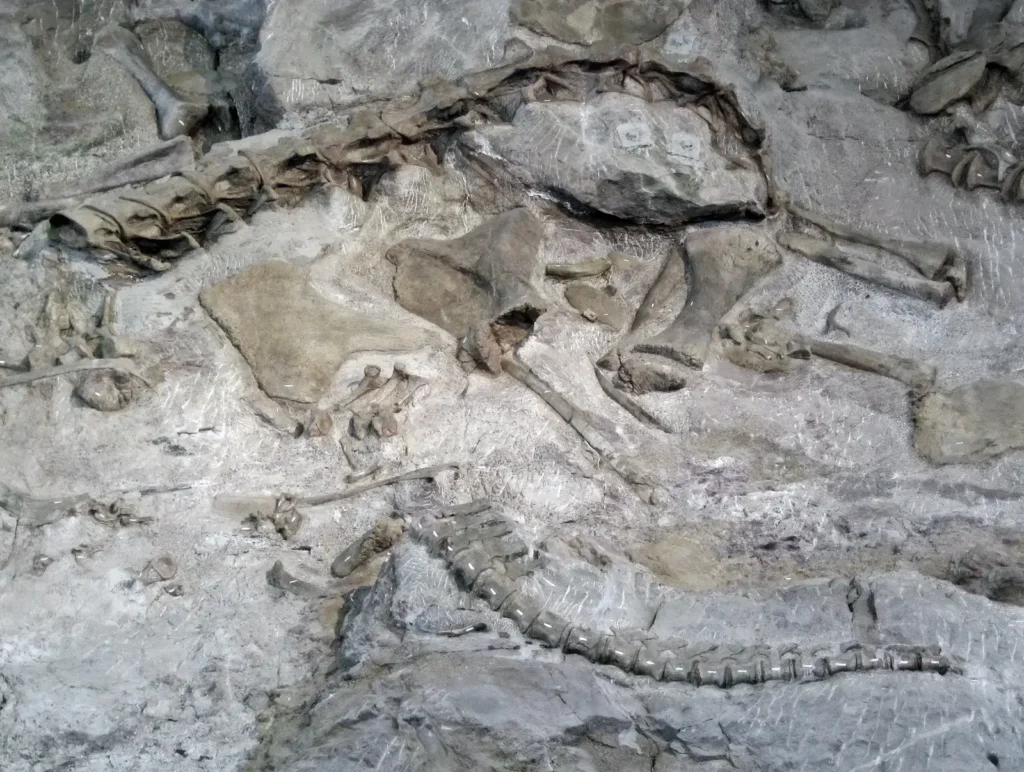 Are There Still Undiscovered Dinosaur Species Waiting to Be Unearthed?