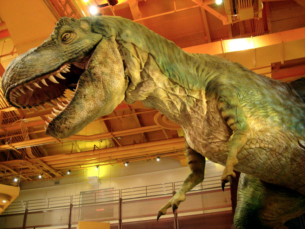 Understanding Muscle Attachment and Movement