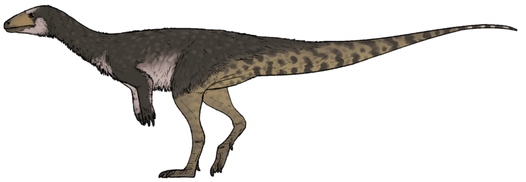 6. Ahvaytum bahndooiveche: The Fossil That Challenged the Origin Story of All Dinosaurs