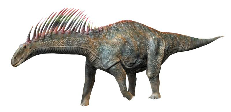 Amargasaurus: The Punk Rocker of the Jurassic World