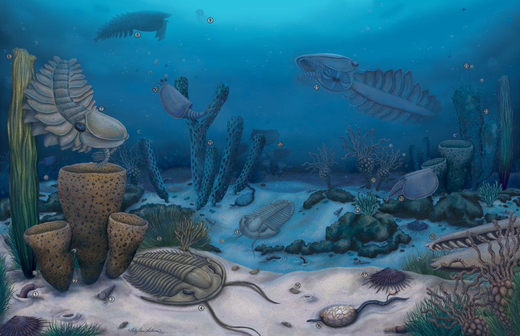 The Cambrian Explosion: When Life Reinvented Itself Overnight 
