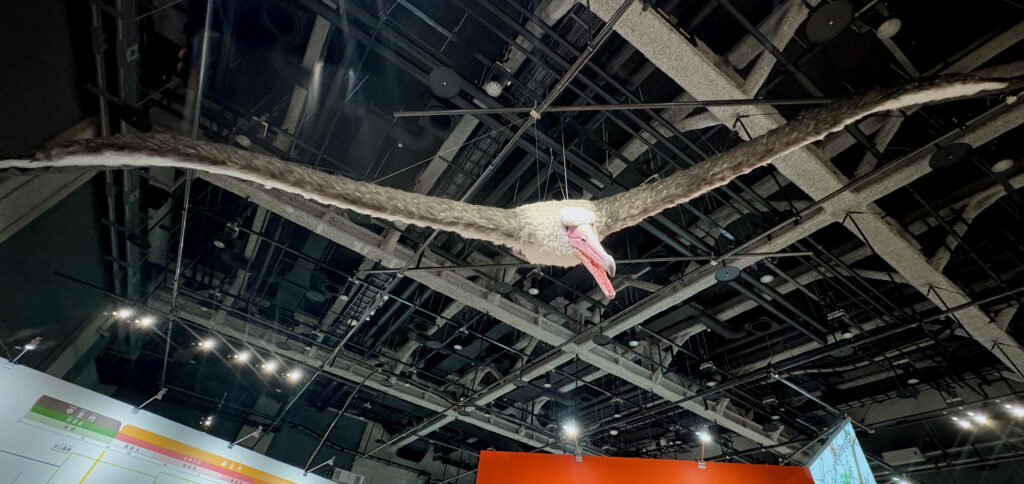 Pelagornis Sandersi: The Jaw-Dropping Ocean Giant