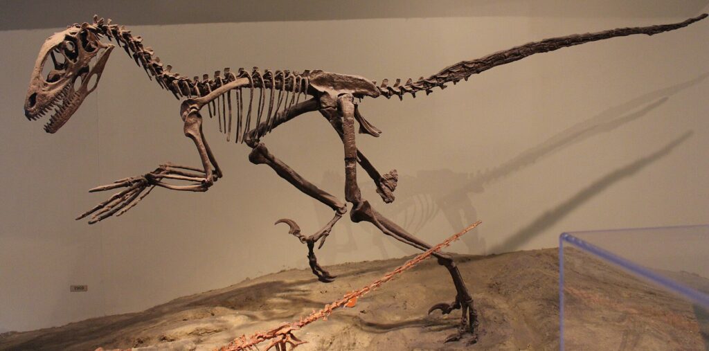 Deinonychus: The Discovery That Literally Changed Everything