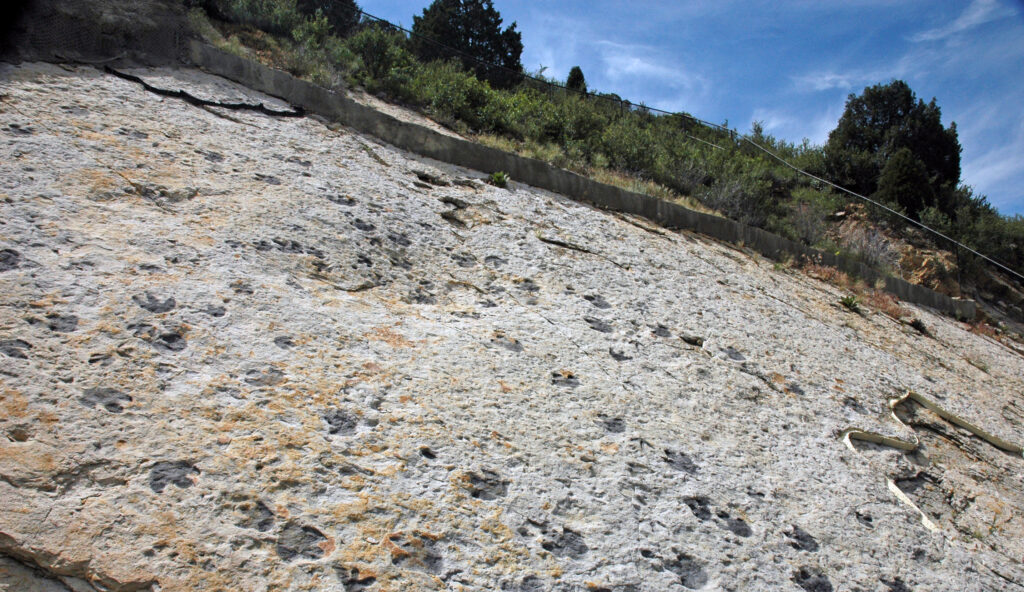 6. Dinosaur Ridge, Morrison, Colorado