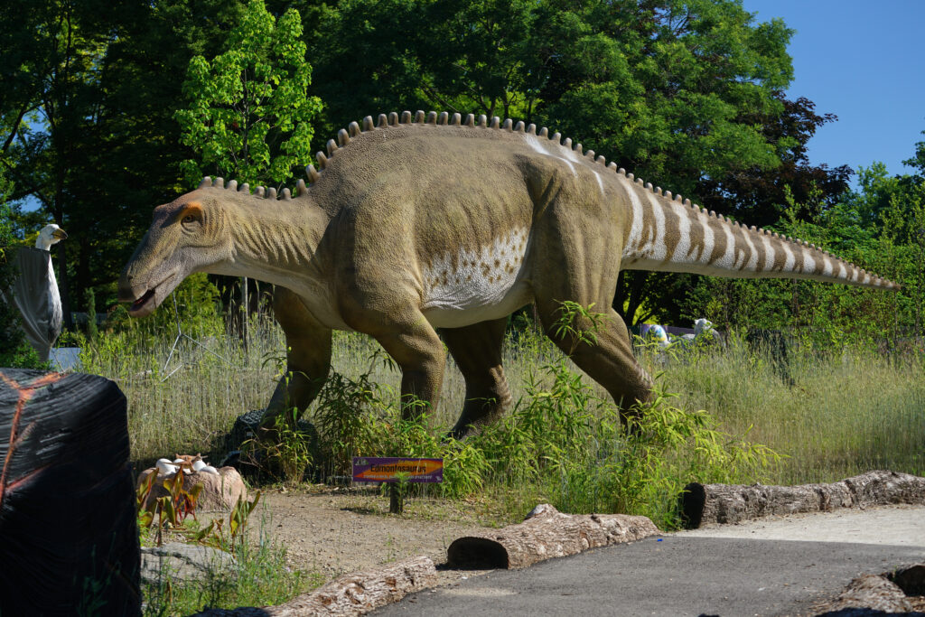 New Animal Habitats and Close Encounters