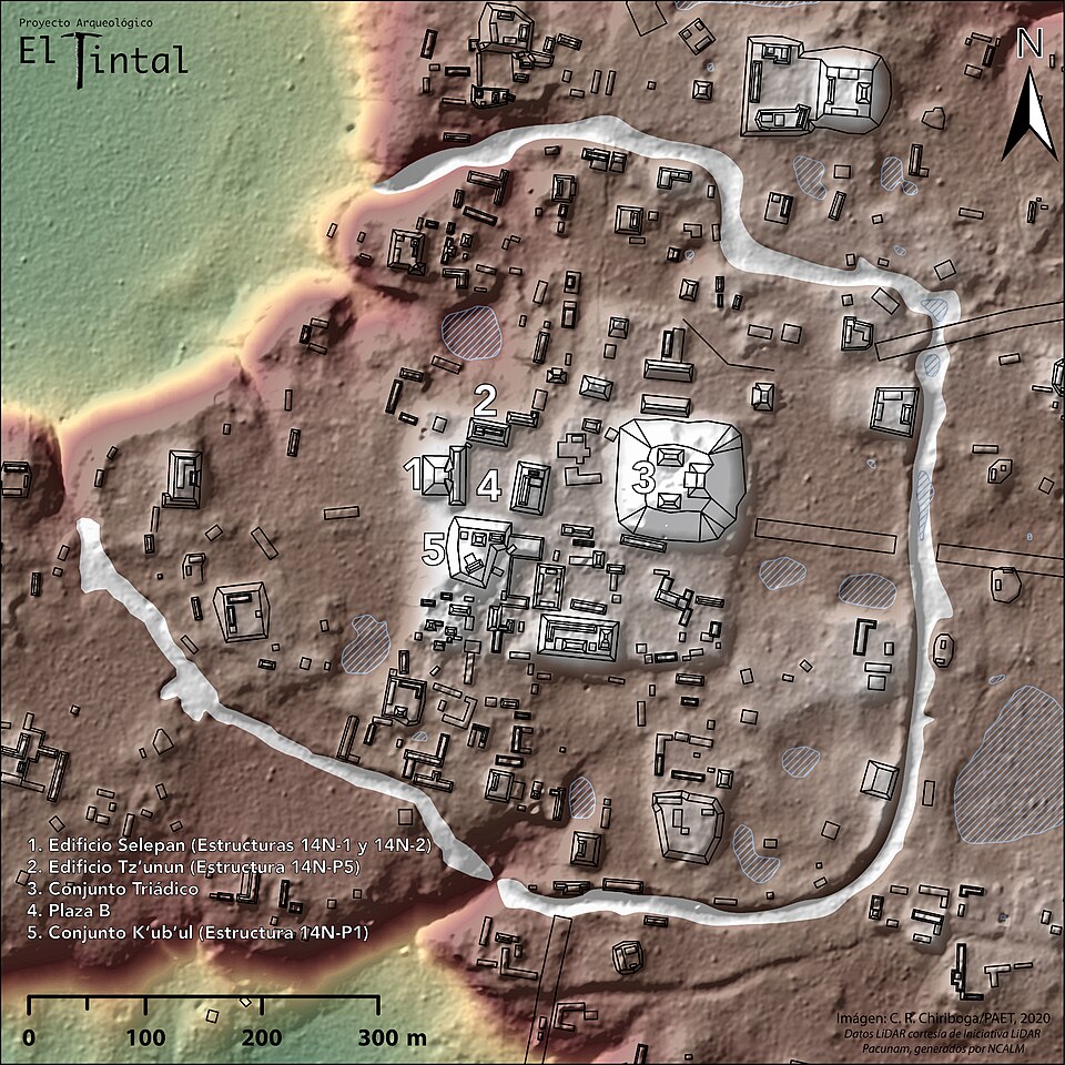 Satellite Images, DNA, and the New Science of Finding the Lost