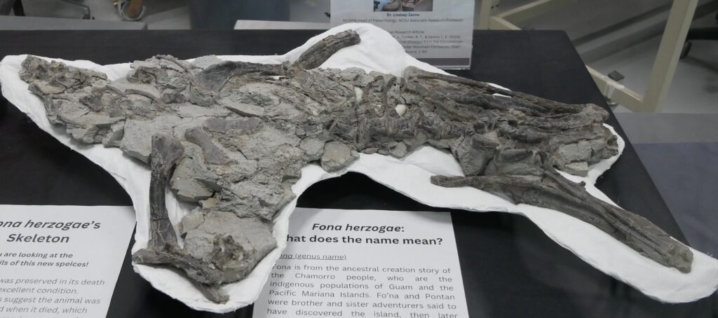 Fona: The Burrowing Dinosaur Nobody Talks About