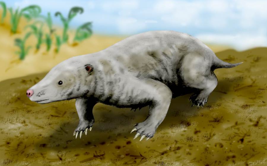 Their Biggest Competition Was Not Dinosaurs - It Was Other Mammals