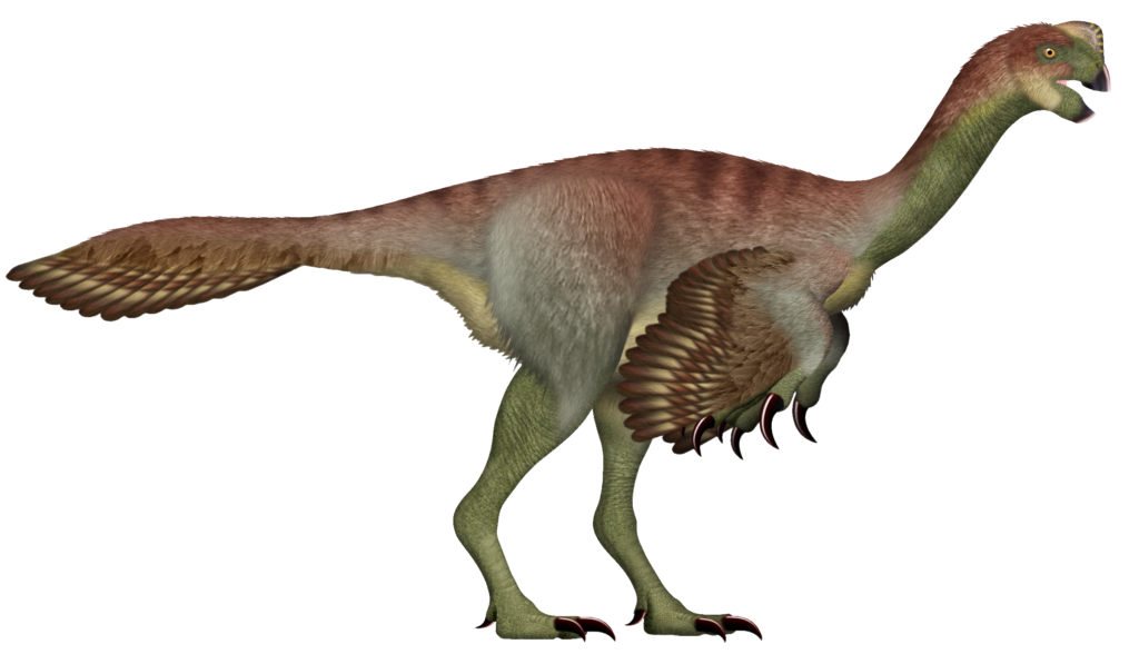 Gigantoraptor: The Giant Bird That Shouldn't Exist