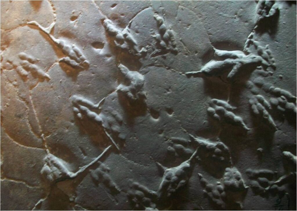 The Connecticut River Valley, USA: Sandstone That Remembered Everything