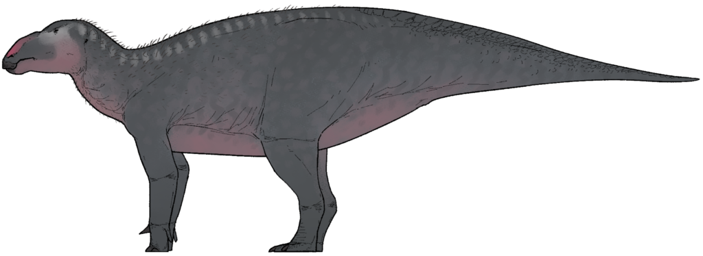 Haolong dongi: The Hollow-Spiked Dinosaur From China