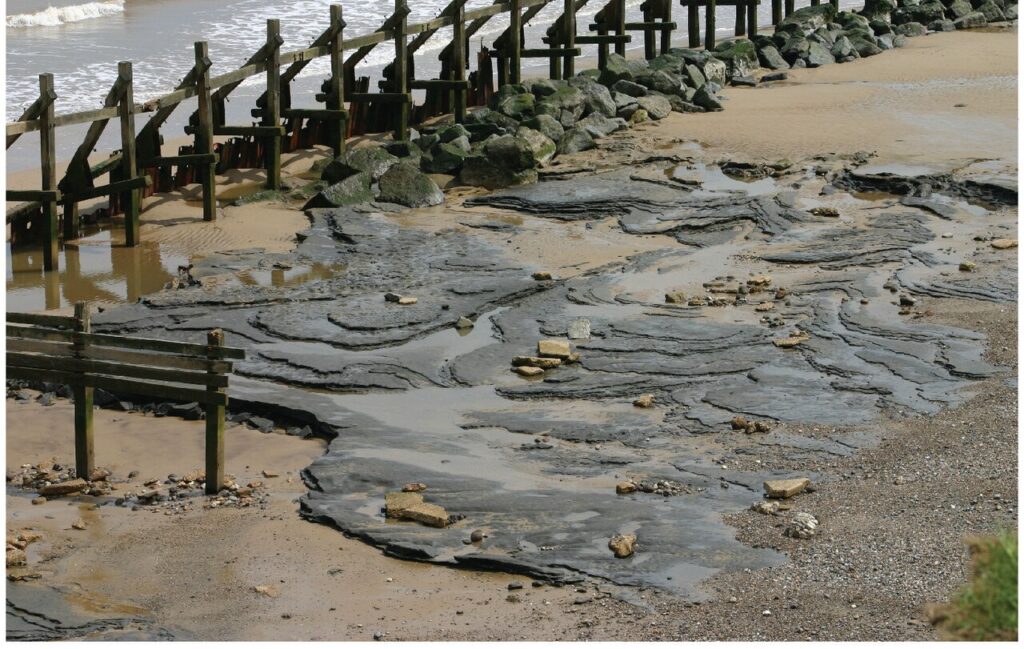 The Happisburgh Footprints, England: An Ancient Family on a Stormy Beach