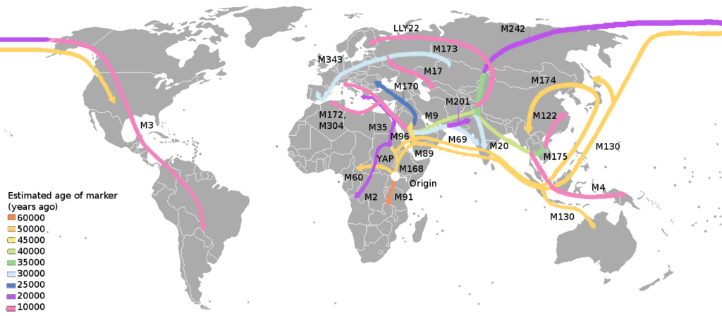 11. Multiple Waves of Migration Created Diverse Social Groups