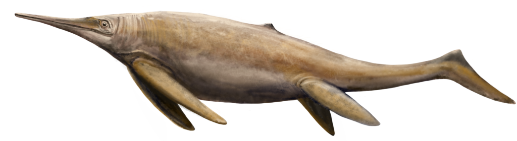 6. Ichthyotitan and the Ichthyosaurs: Dolphins of the Deep, But Deadlier