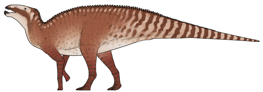 A Fossil Trove in an Island World