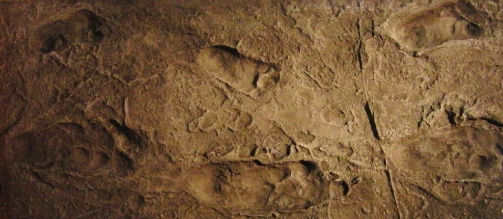 8. The Laetoli Footprints - Proof Written in Stone That We Walked Early 