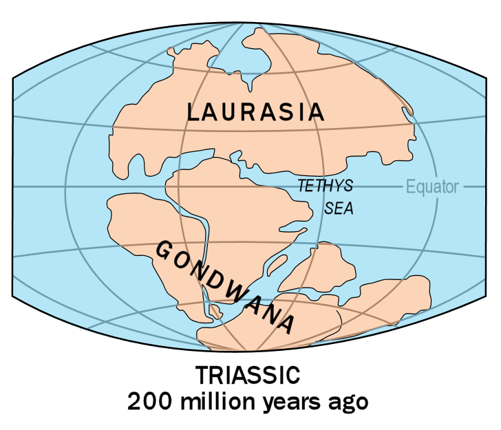 Pangaea's Breakup: The Continental Discovery That Redefined Dinosaur Distribution 