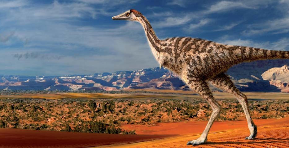 Linhenykus: The Dinosaur With One Functional Finger 