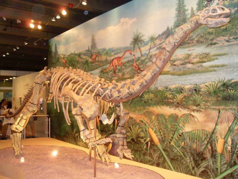 The Lufengosaurus Discovery: Parental Feeding Goes Back 190 Million Years