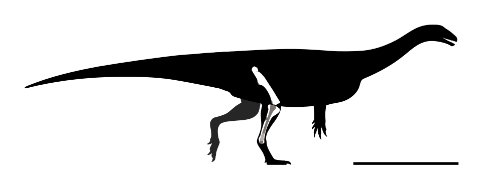 8. Musankwa Sanyatiensis: Zimbabwe's Long-Lost Dinosaur Resurfaces