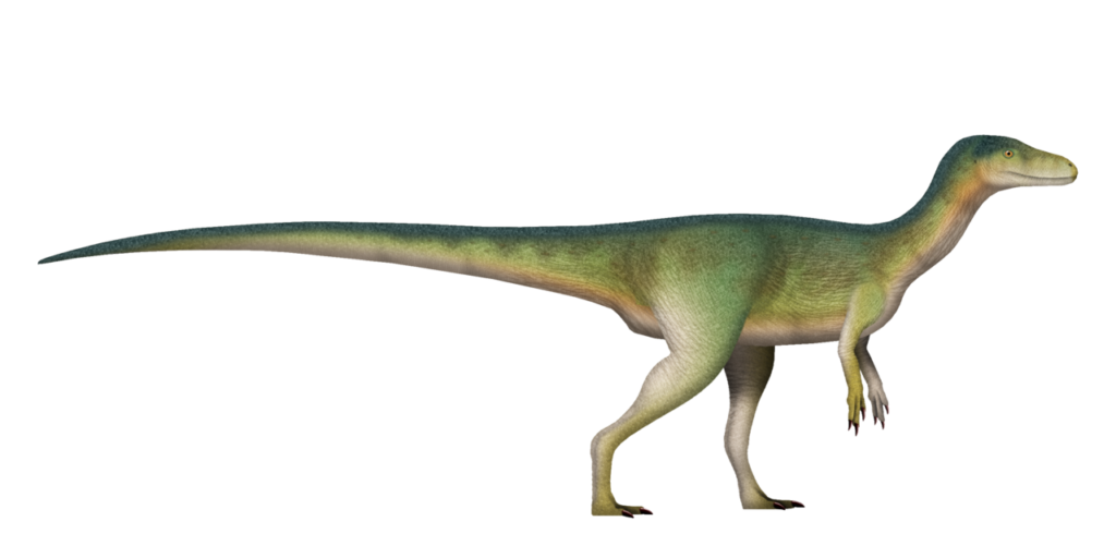 Coelophysis: Small, Fast, and Fiercely Effective