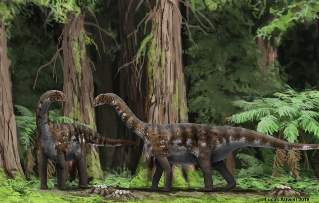 The Sauropod Paradox: Giants That Laid and Left