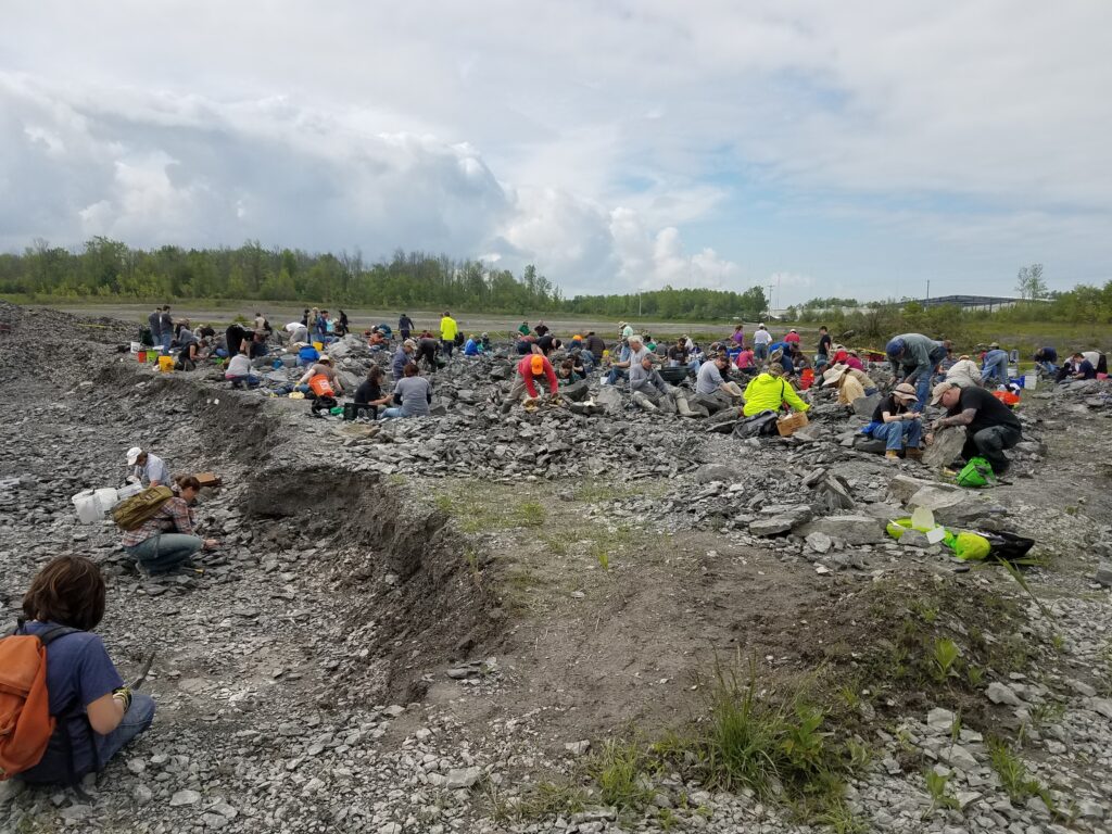 Penn Dixie Fossil Park and Nature Reserve - Hamburg, New York