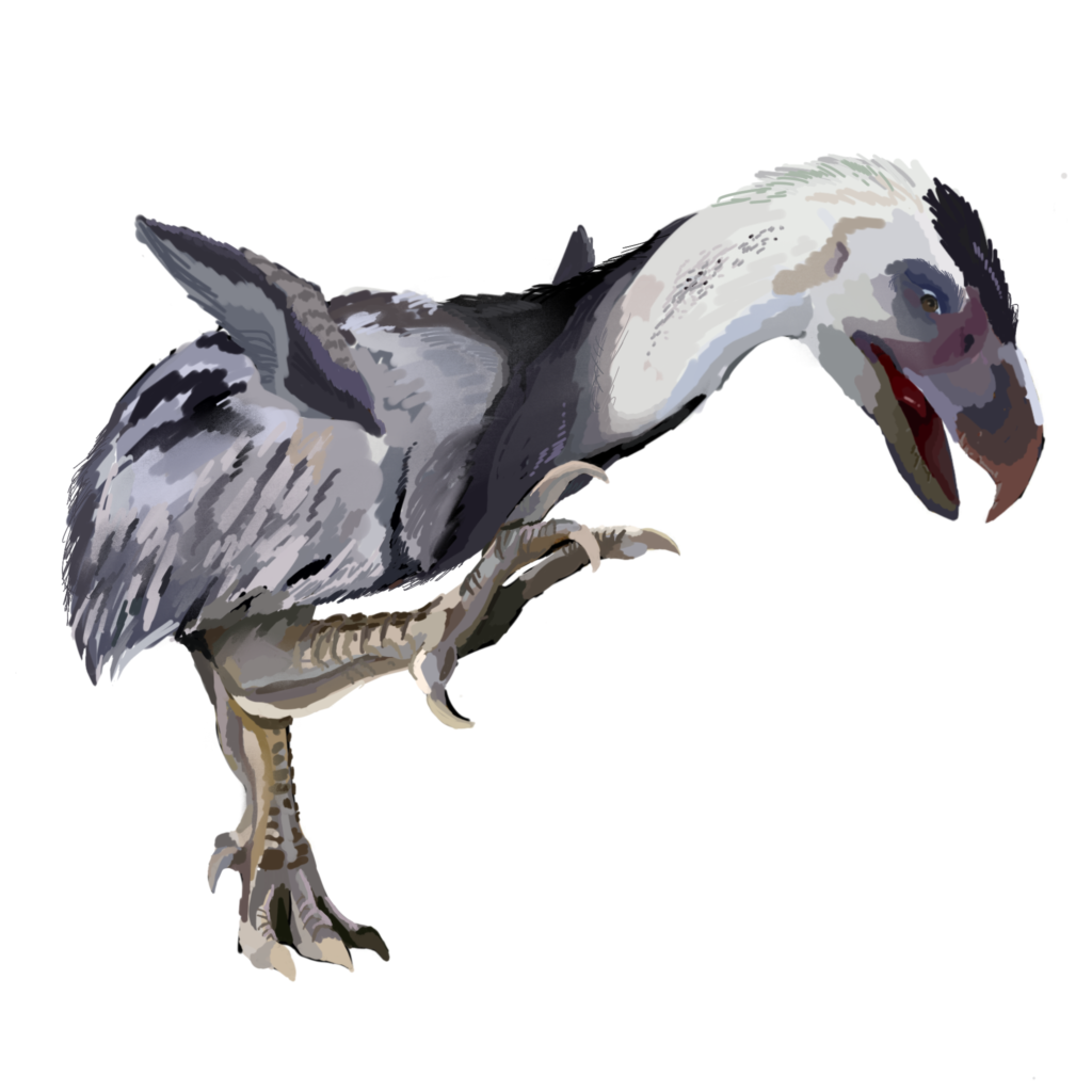 Titanis Walleri: The Terror Bird That Invaded From the South