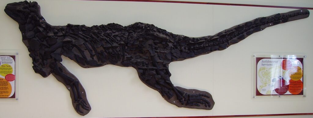 A World Without Dinosaurs: What Science Believed Before 1858