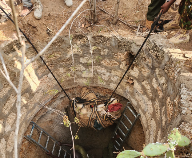 Frightened Predator Turns Prey to Gravity