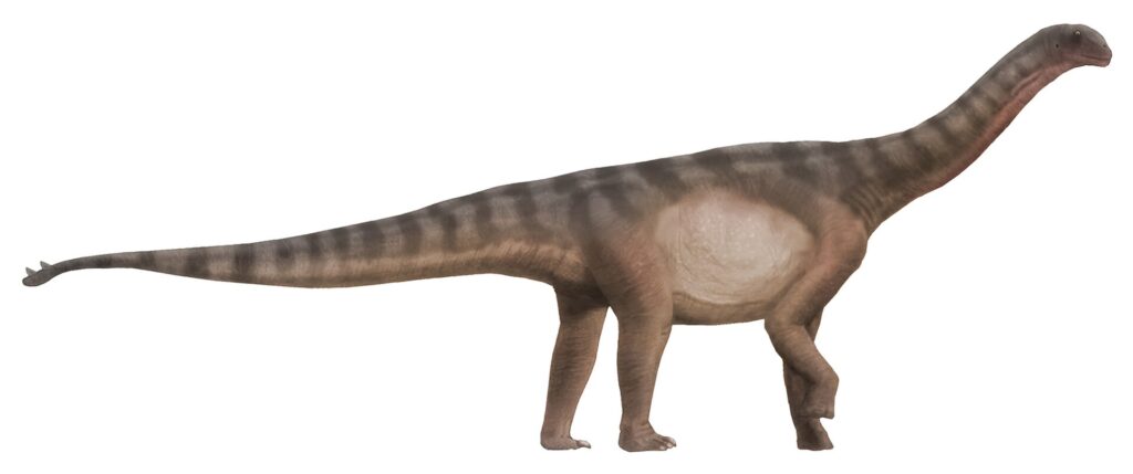 6. Shunosaurus: The Club-Tailed Sauropod You've Never Heard Of