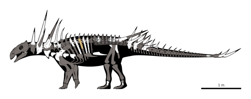2. The Punk Rock Dinosaur: Spicomellus and Its Jaw-Dropping Armor