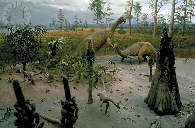 When Competition Was a Myth: Climate Cleared the Path for Dinosaurs