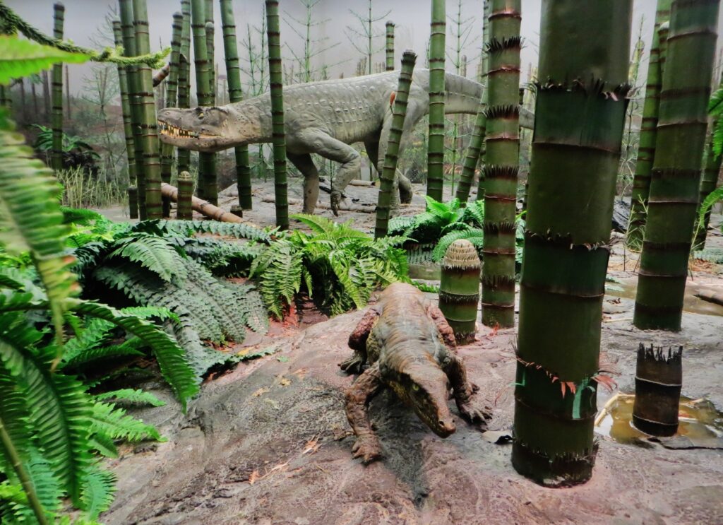12. The Triassic Takeover: Capitalizing on Mass Extinction