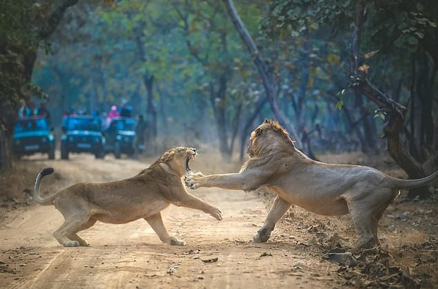 The Dramatic Standoff Unfolds