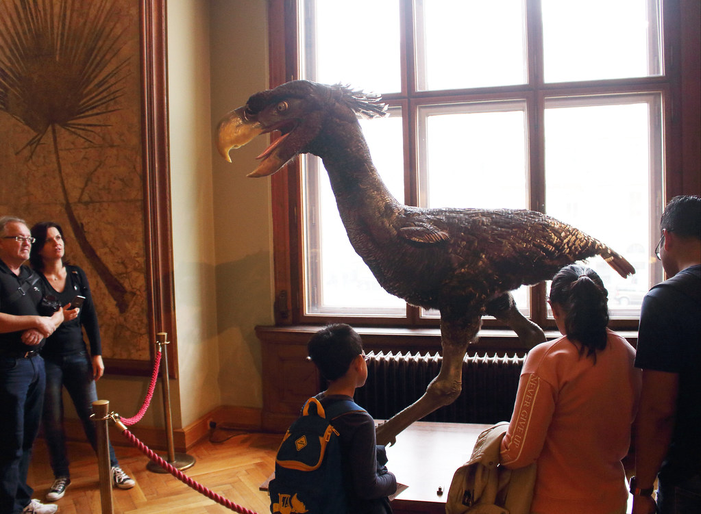 Phorusrhacidae: The Terror Birds That Could Outrun a Racehorse 