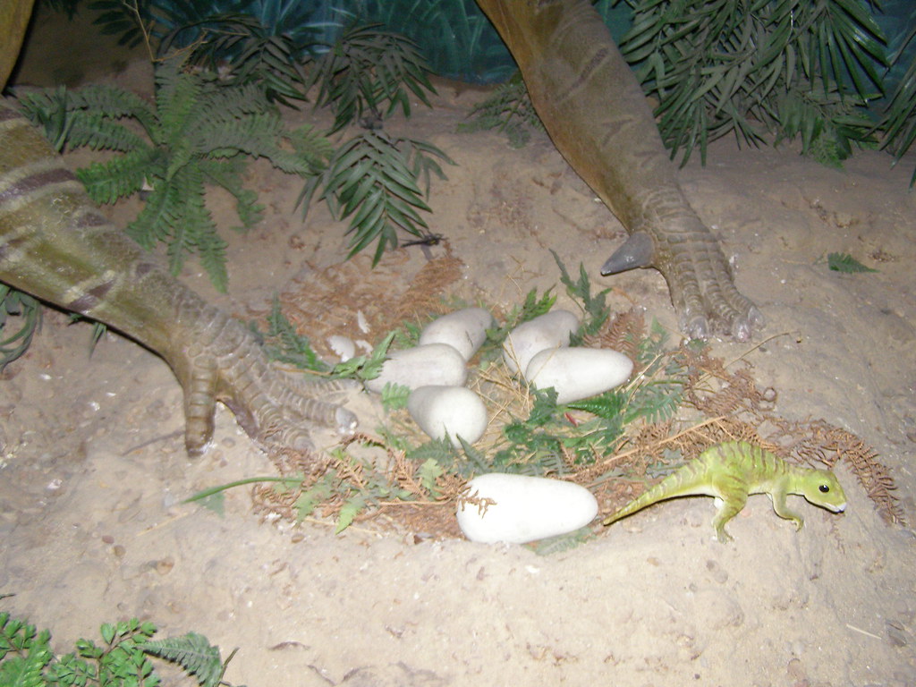 4. Some Dinosaurs Used Vegetation to Heat Their Nests