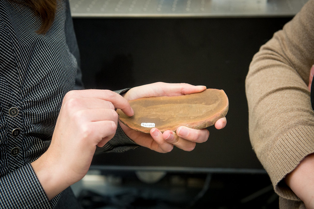 The Speed Factor in Hypothesis Testing