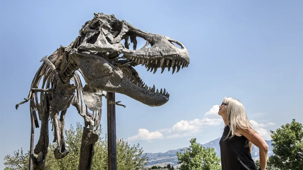 Mary Schweitzer: The Scientist Who Dissolved a T. Rex and Rewrote Biology